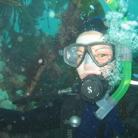 Hotel Casey's Of Collection Baltimore