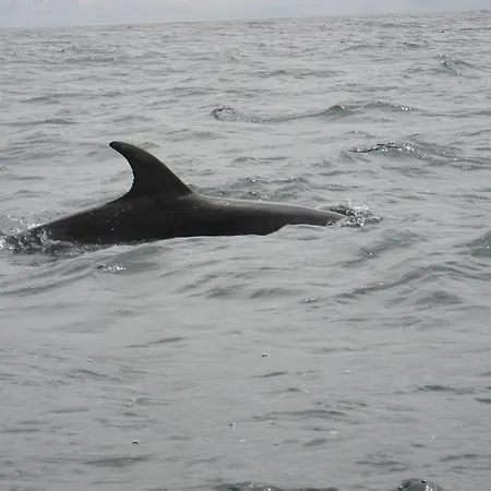 Casey's Of Collection 3* بالتيمور