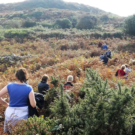 Casey's Of Collection