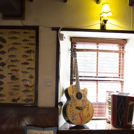 Otel Casey's Of Collection 3*