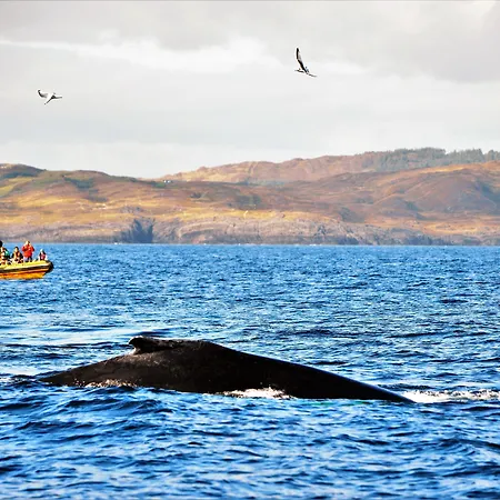 Casey's Of Collection Otel 3*