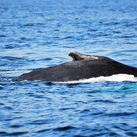 Casey's Of Collection Hotel 3*