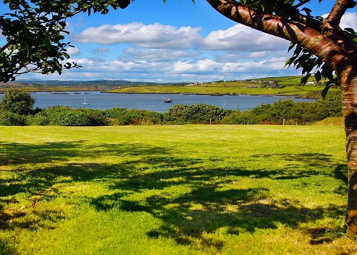 Casey's Of Collection Baltimore