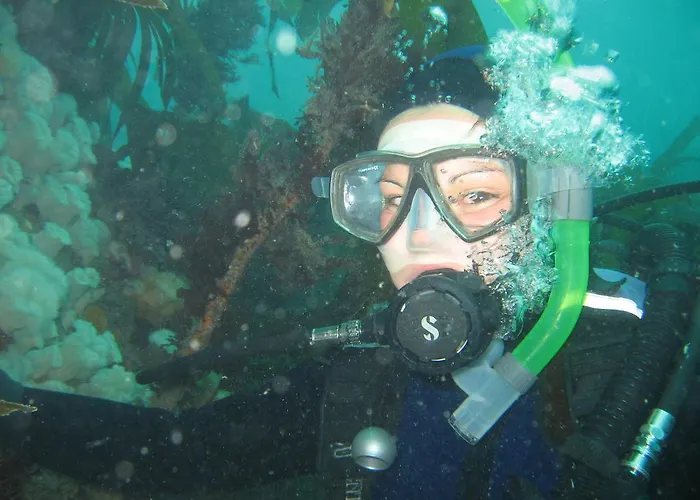 Hotel Casey's Of Collection Baltimore