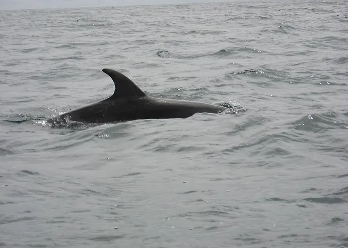 Casey's Of Collection 3* Baltimore