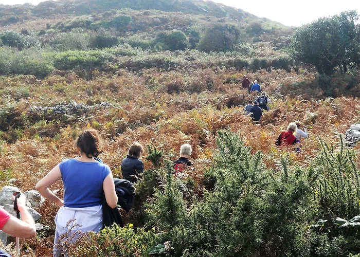 Casey's Of Collection