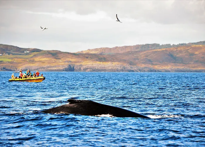 Casey's Of Collection Hotel 3*