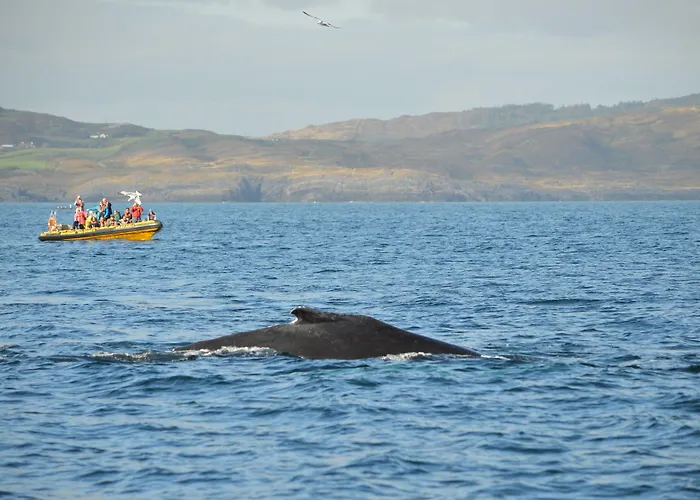 Hotel Casey's Of Collection 3*