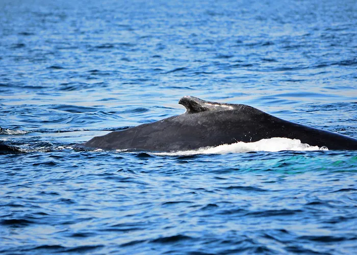 Casey's Of Collection Hotel 3*